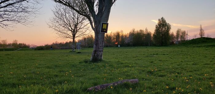 Discgolf cours bij avondzon